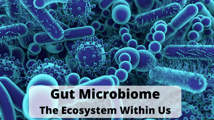 7 Ways How The Microbial Zoo In Our Gut Influences Weight Management