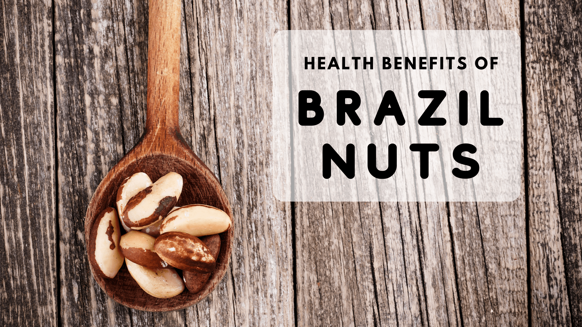 Brazil Nut Meet Our Super Healthy Brazilian Friend Naturally Yours