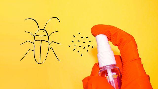 10 Effective DIY Insect Repellents for Home and Garden