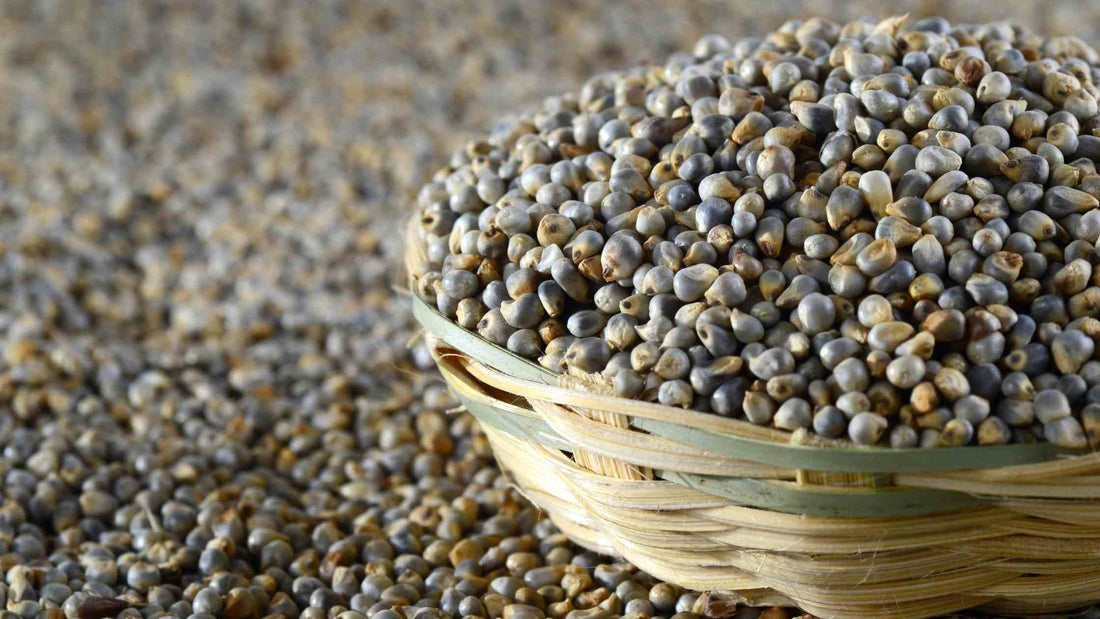 Bajra - A Nutritional Powerhouse