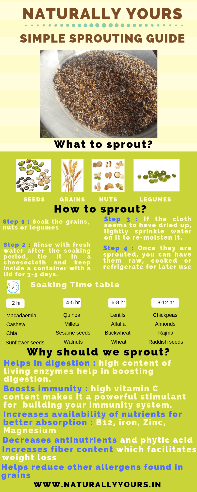 Health Benefits Of Sprouting | Naturally Yours